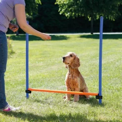 Trixie Agility|Agility*Agility aitaeste 123 x 115 cm