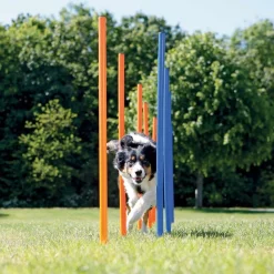 Trixie Agility|Agility*Agility pujottelueste 12 keppiä
