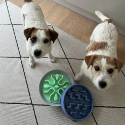 Outward Hound Ahmimisenestokupit Ja Nuolumatot|Koiran Ruoka- Ja Juomakupit*Ahmimisenestokuppi Notch M
