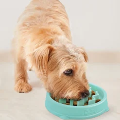 Outward Hound Ahmimisenestokupit Ja Nuolumatot|Koiranpennun Ruokailu*Ahmimisenestokuppi Wave S
