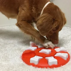 Nina Ottosson Koiran Aktivointilelut Ja -Pelit*Aktivointilelu Dog Smart, oranssi