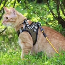 Basic Kissan Valjaat|Ulkoilu*Cat Sporty NoEscape -kissan valjaat