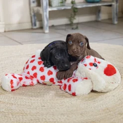 Beeztees Koiran Pehmolelut*Cuddle Toy Suki XL