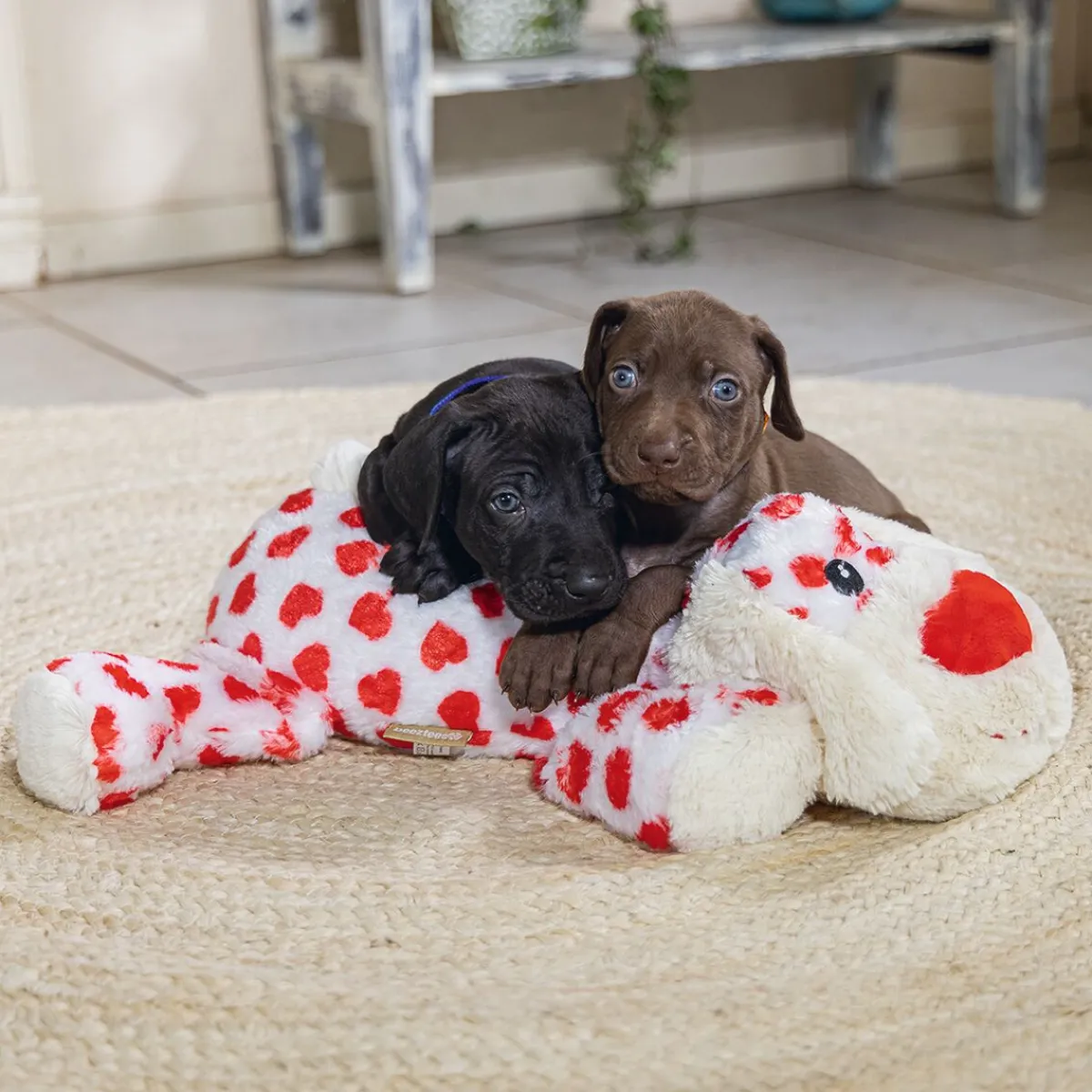 Beeztees Koiran Pehmolelut*Cuddle Toy Suki XL