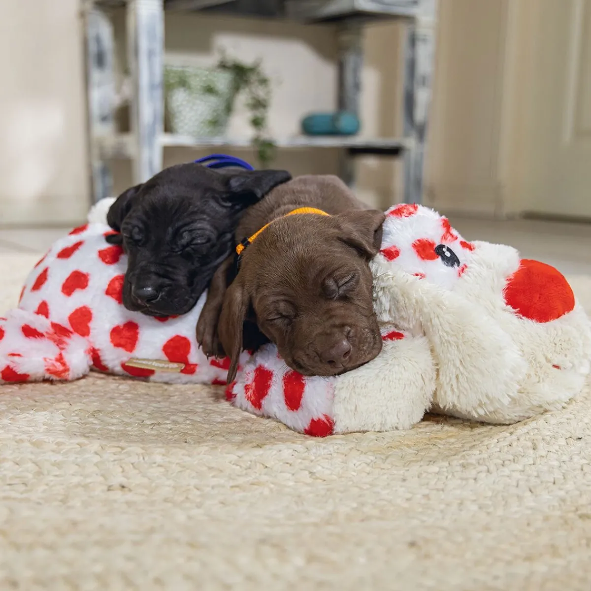 Beeztees Koiran Pehmolelut*Cuddle Toy Suki XL