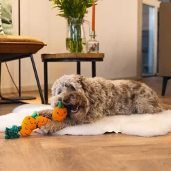 Beeztees Koiran Pehmolelut|Koiran Köysilelut*Easter Flossy Rope Carrot