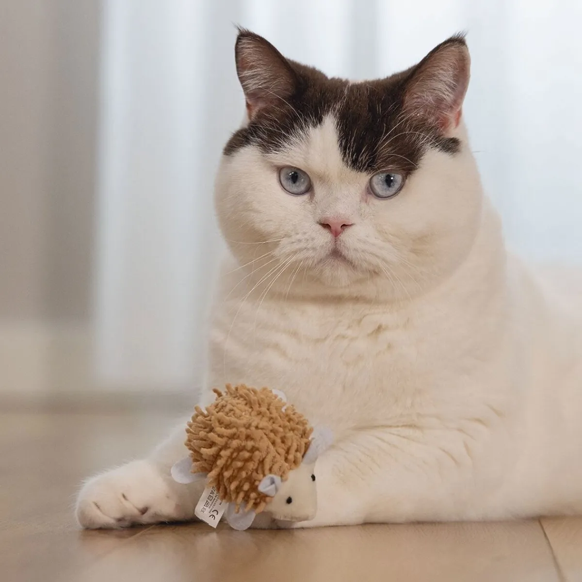 Beeztees Kissan Hiirilelut*Eco Cat Hedgehog Mozi