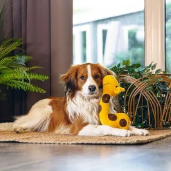 Beeztees Koiran Pehmolelut|Koiran Aktivointilelut Ja -Pelit*Hide N Seek Jungle Gigi Giraffe