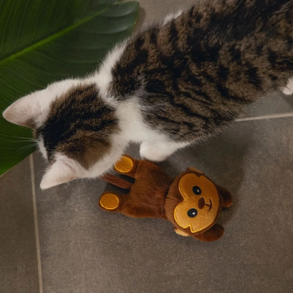 Beeztees Kissanminttulelut*Jungle Cat Matatabi Monkey