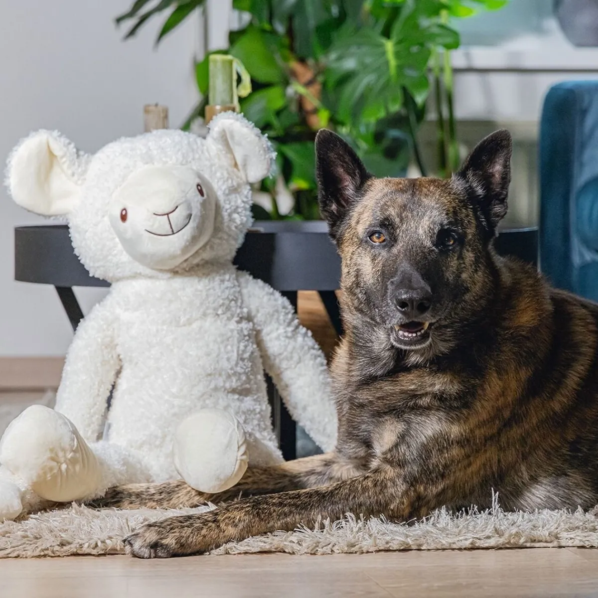 Beeztees Koiran Pehmolelut*Sheep Jessy XL