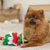 Beeztees Koiran Köysilelut*Xmas Tree rope toy