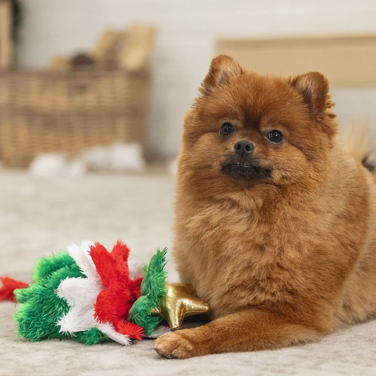 Beeztees Koiran Köysilelut*Xmas Tree rope toy