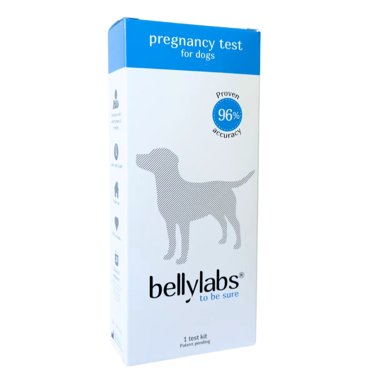 Bellylabs Hoito Ja Terveys*koirien tiineystesti