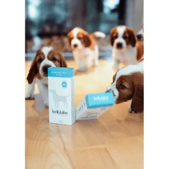 Bellylabs Hoito Ja Terveys*koirien tiineystesti