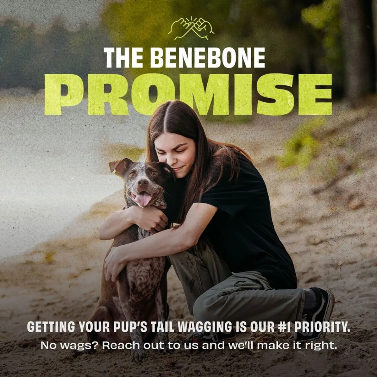 Benebone Koiran Pallot*Bounce Ball