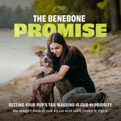 Benebone Purulelut Ja Kongit|Koiran Aktivointilelut Ja -Pelit*Bounce Cone