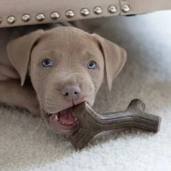 Benebone Puruluut|Hammasherkut*Puppy 2 kpl - Maplestick/Zaggler Bacon Tiny