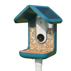 Birdbuddy Ulkolinnut|Koirakamerat*Bird Buddy -lintulauta kameralla
