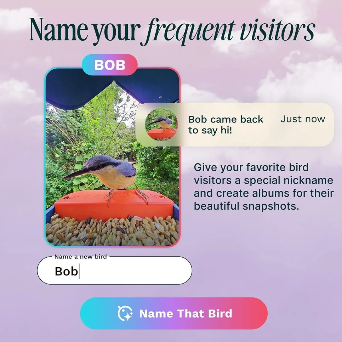 Birdbuddy Ulkolinnut|Koirakamerat*Bird Buddy -lintulauta kameralla