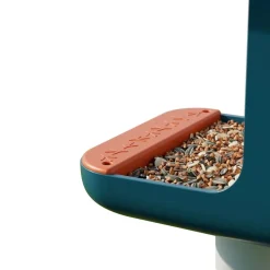 Birdbuddy Ulkolinnut|Koirakamerat*Bird Buddy -lintulauta kameralla