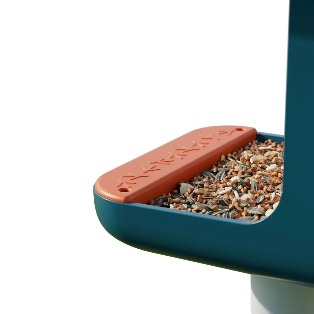 Birdbuddy Ulkolinnut|Koirakamerat*Bird Buddy -lintulauta kameralla
