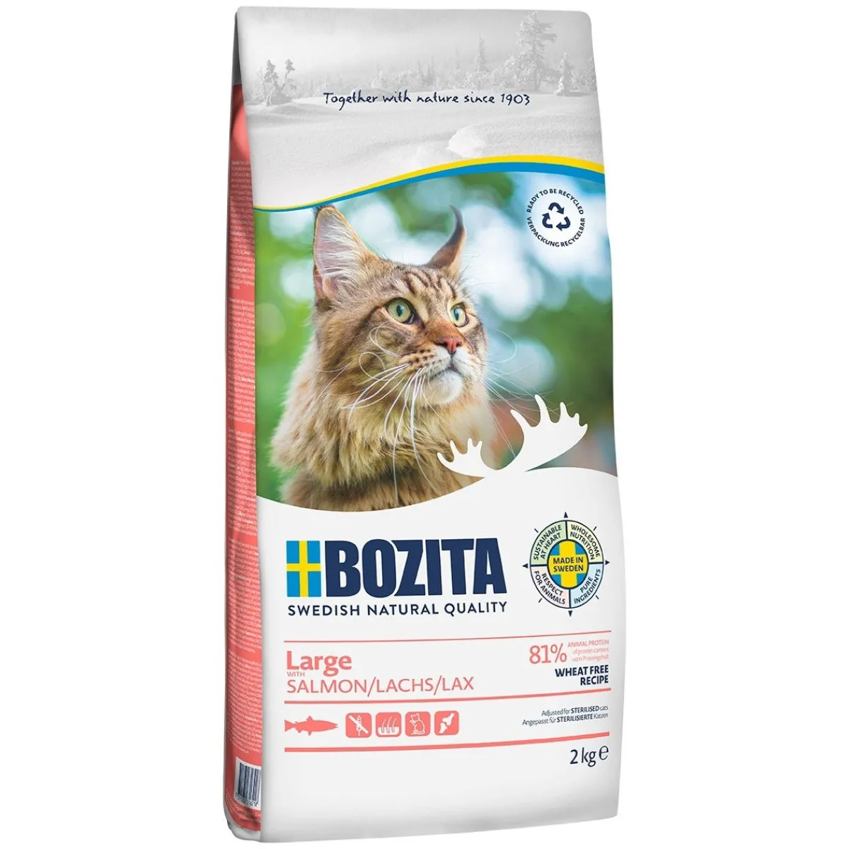 Bozita Kissan Kuivaruoka*Feline Large Wheat Free Salmon