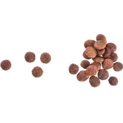 Brit Care Viljaton Kissanruoka|Tarjoukset Kissoille*Cat Grain-Free Indoor Anti-stress