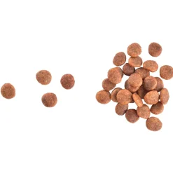 Brit Care Tarjoukset Kissoille|Viljaton Kissanruoka*Cat Grain-Free Large cats Power & Vitality