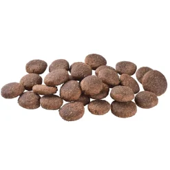 Brit Care Tarjoukset Koirille|Koiran Kuivaruoka*Dog Adult Large Breed Grain-Free Salmon