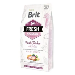Brit Penturuoka|Koiran Kuivaruoka*Fresh Puppy