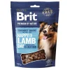 Brit Premium Pikkuherkut Ja Treeninamit*by Nature Dog Snacks Lamb&Sea buckthorn 180g