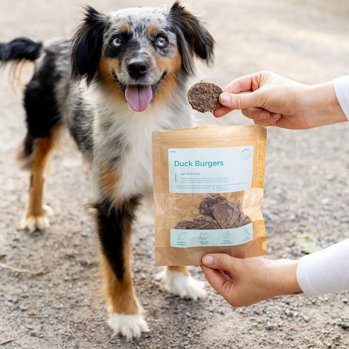 Buddy Täyslihaherkut|Ruokinnan Monipuolistaminen*Ankkaburgerit 100 g