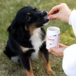 Buddy Öljyt, Vitamiinit Ja Lisäravinteet|Hoito Ja Terveys*Care Probiotic 150 g