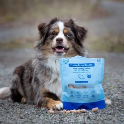 Buddy Pikkuherkut Ja Treeninamit|Pakastekuivatut Koiranherkut*Freeze-dried kalkkuna & kala 100 g
