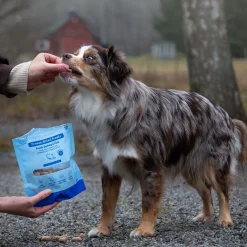 Buddy Pikkuherkut Ja Treeninamit|Pakastekuivatut Koiranherkut*Freeze-dried kalkkuna & kala 100 g
