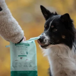 Buddy Täyslihaherkut|Pakastekuivatut Koiranherkut*Freeze-dried kalkkuna & tonnikala 100 g