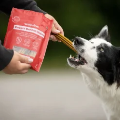 Buddy Hammasherkut*GF Veggie Dental Chew M