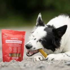 Buddy Hammasherkut*GF Veggie Dental Chew M