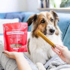 Buddy Hammasherkut*GF Veggie Dental Chew M