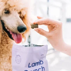 Buddy Pehmeät Koiran Herkut|Pikkuherkut Ja Treeninamit*Lammasherkku koiralle 150g