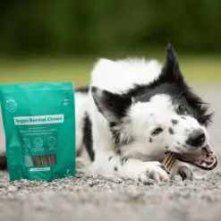 Buddy Hammasherkut*Veggie Dental Chew M