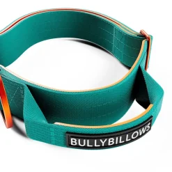 BullyBillows Igp|Koiran Pannat*Combat kaulapanta kahvalla, turkoosi & oranssi 4 cm