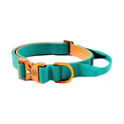 BullyBillows Koiran Pannat*Combat kaulapanta kahvalla, turkoosi-oranssi 2,5 cm
