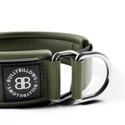 BullyBillows Koiran Heijastimet Ja Valot|Koiran Pannat*koiran puolikiristävä panta 5 cm, khaki