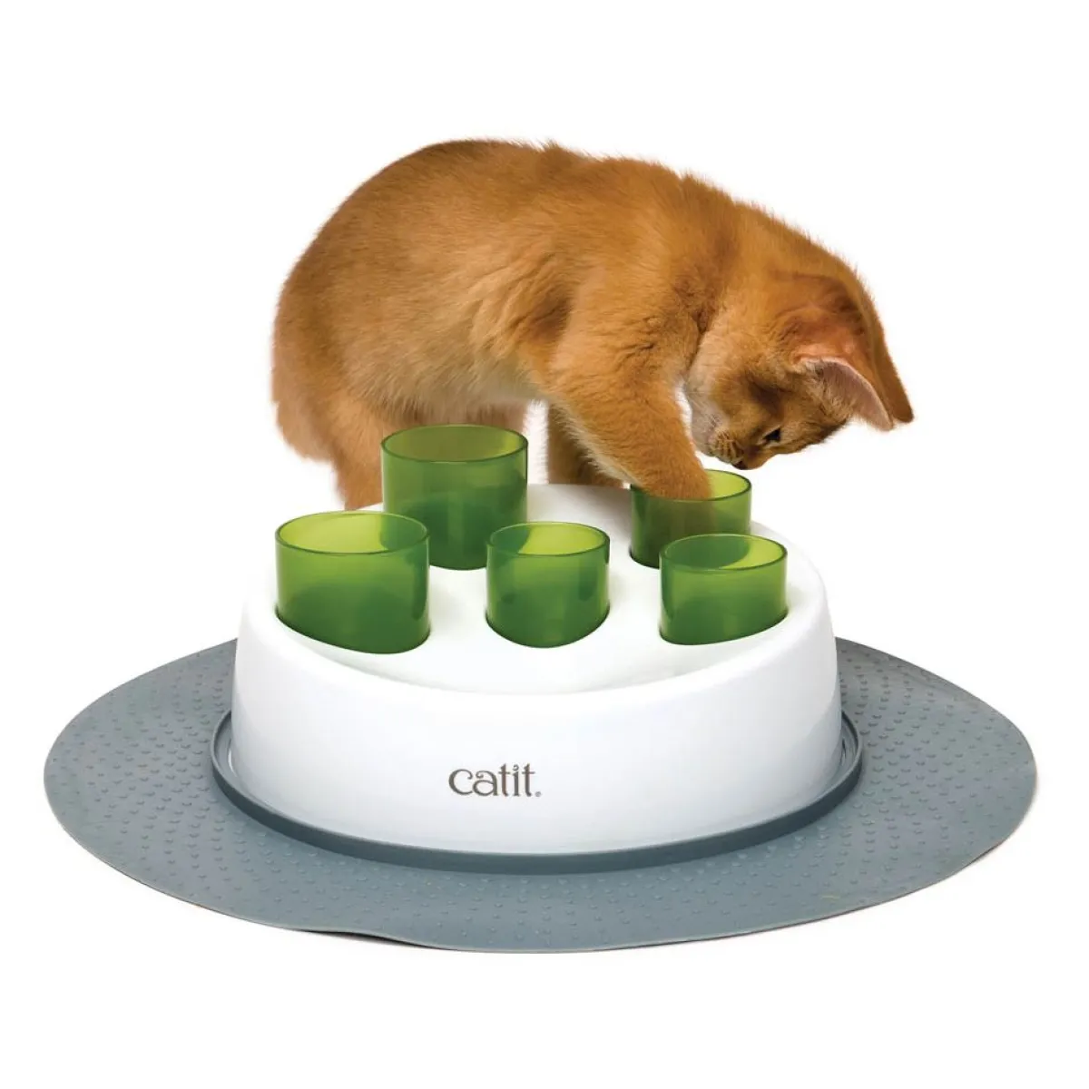 Catit Kissanpennun Lelut|Kissanpennun Lelut*Senses 2.0 Digger