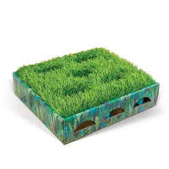 Catstages Kissan Pelit Ja Aktivointilelut*Grass Patch Hunting laatikko