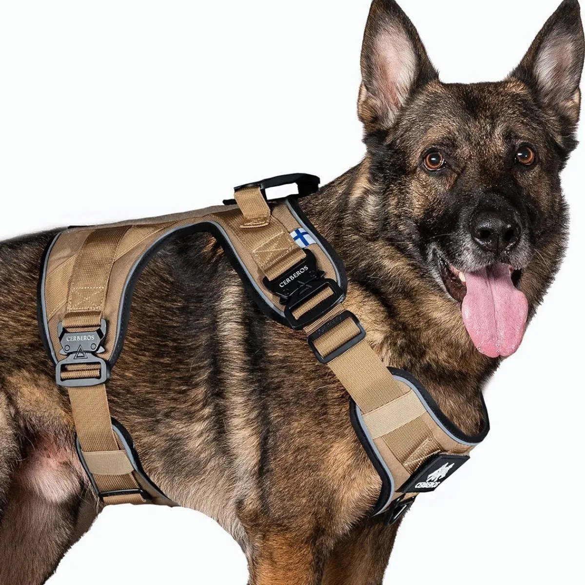 Cerberos Igp|Koiran Valjaat*Active valjas, Desert Brown