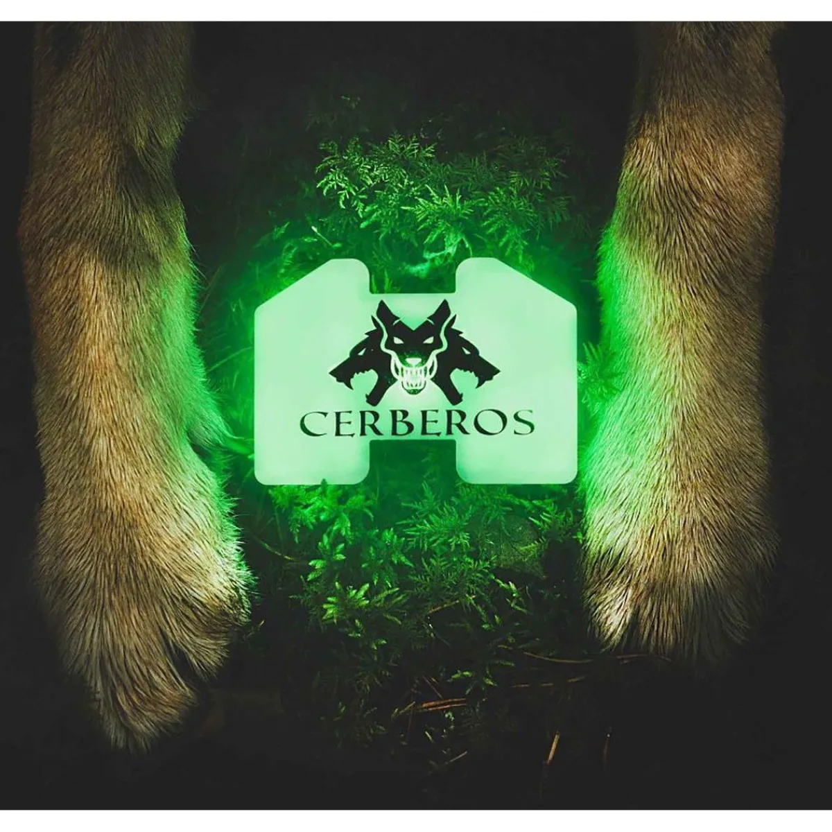 Cerberos Koiran Valot*huomiovalo