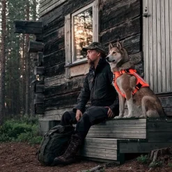 Cerberos Igp|Koiran Valjaat*Tactical valjaat koiralle, Rescue Orange