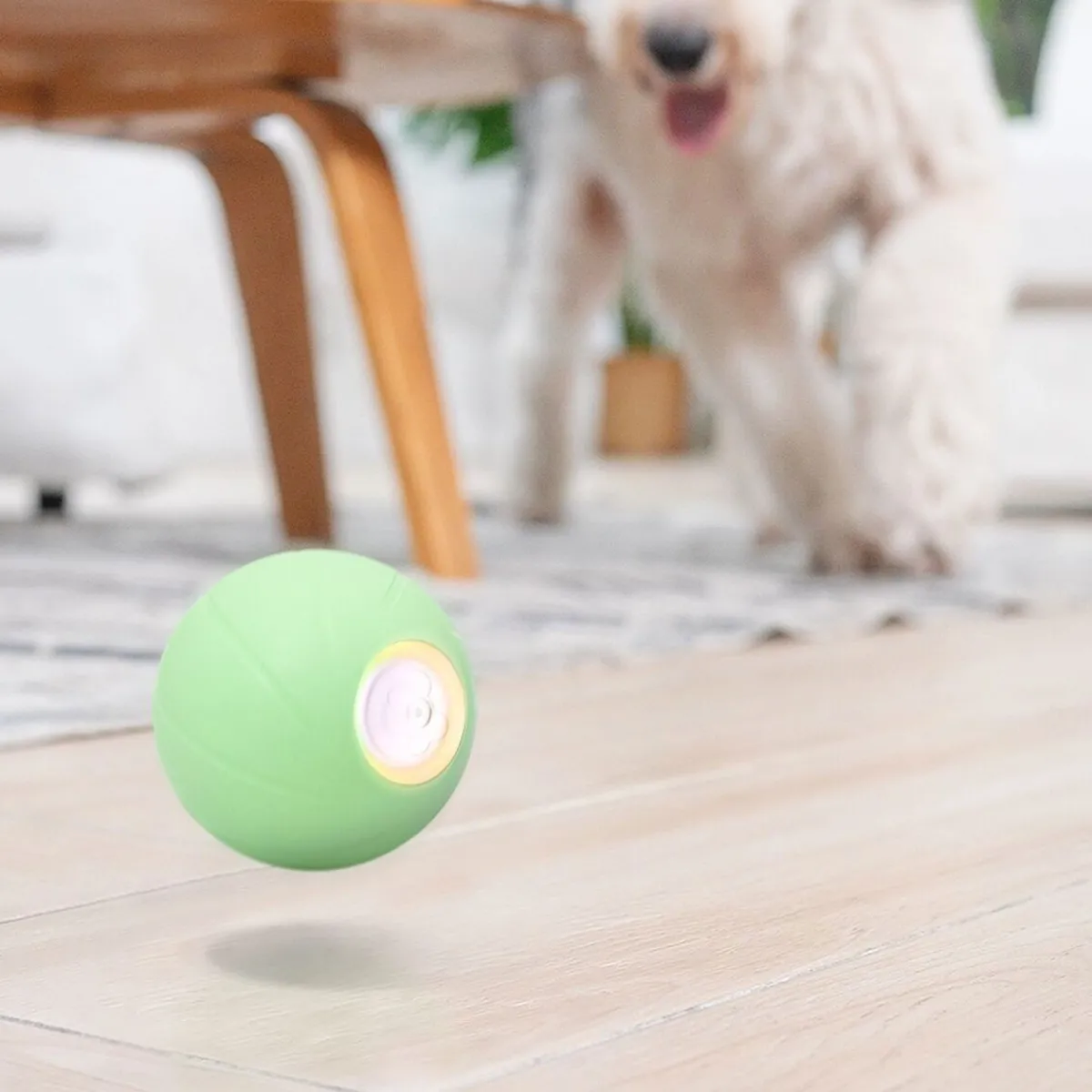 Cheerble Koiran Aktivointilelut Ja -Pelit|Koiran Pallot*Wicked Ball PE